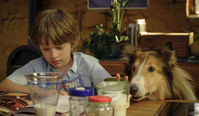 Najslávnejšia kólia sa vracia! Lassie: Nové dobrodružstvo sľubuje príjemný rodinný film