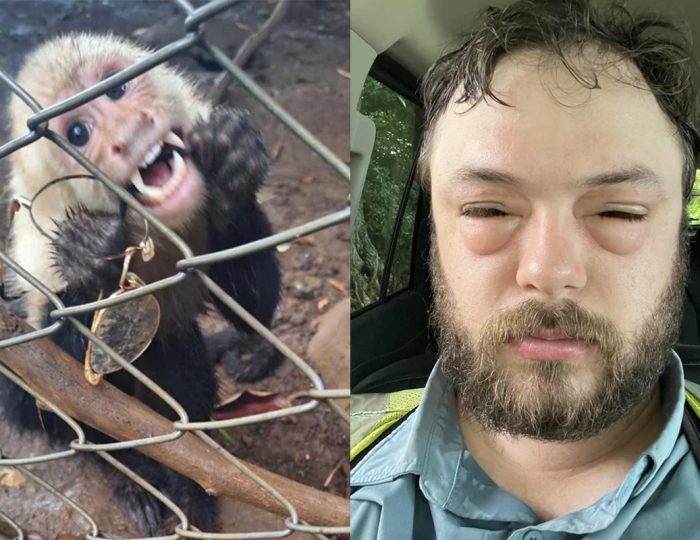 Títo ľudia majú za sebou taký príšerný deň, až ti bude ľúto sa na nich smiať