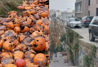 20 fotografií, ktoré v tebe vyvolajú nepríjemné pocity