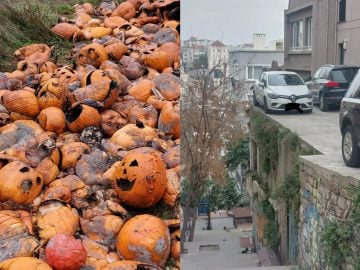 20 fotografií, ktoré v tebe vyvolajú nepríjemné pocity