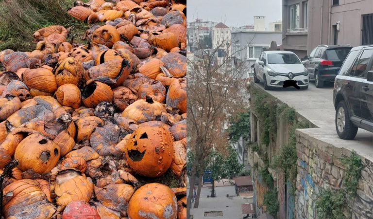 20 fotografií, ktoré v tebe vyvolajú nepríjemné pocity