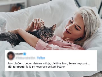 10 vtipných tweetov, s ktorými sa stotožnia všetci majitelia domácich zvieratiek