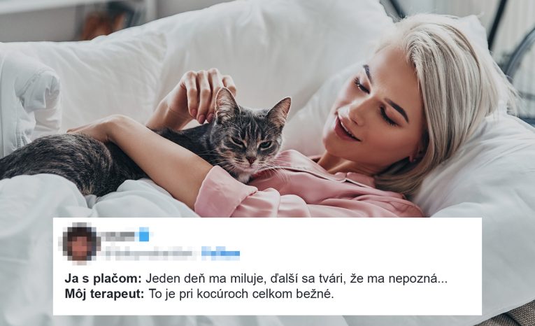 10 vtipných tweetov, s ktorými sa stotožnia všetci majitelia domácich zvieratiek