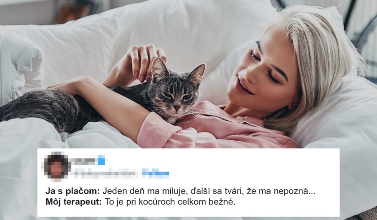 10 vtipných tweetov, s ktorými sa stotožnia všetci majitelia domácich zvieratiek