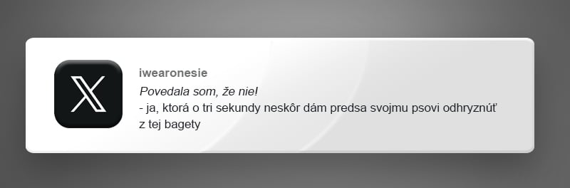 10 vtipných príspevkov z internetu, v ktorých sa nájde každý milovník psov