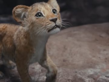 Scar ako sympaťák? Trailer disneyovky Mufasa: Leví kráľ od fanúšikov schytal kritiku za nerešpektovanie originálu