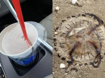 Vyplavené medúzy aj zvláštne oblaky. 20 fotografií vecí, ktoré si ešte asi nevidel