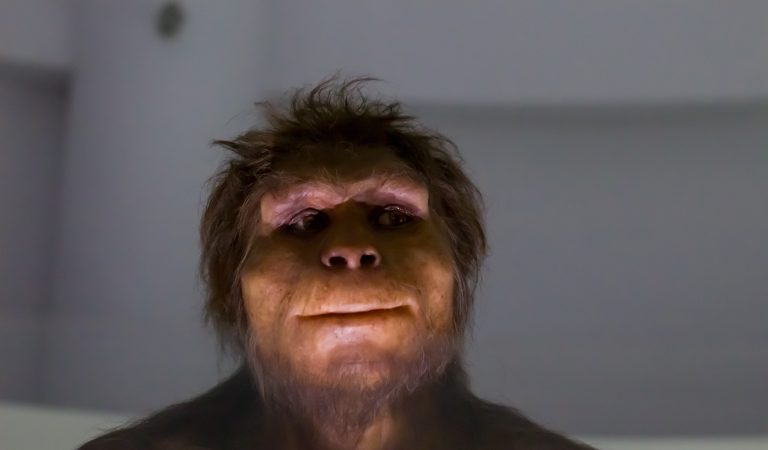 pravek