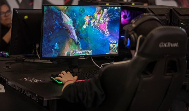 YGames Crazy Wolf Cup