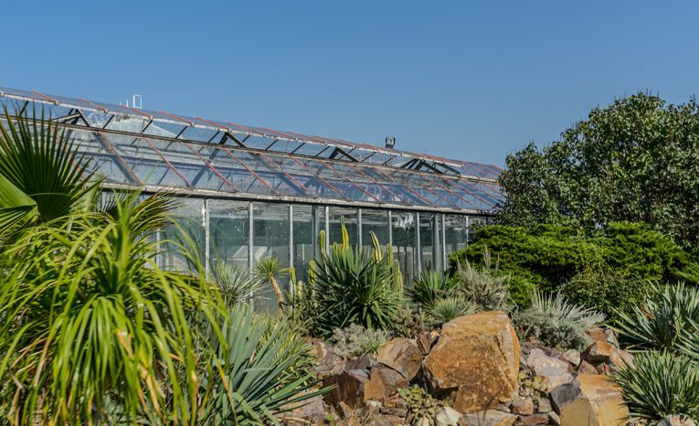 Parky a botanické záhrady, ktoré majú v jesennom období magickú atmosféru