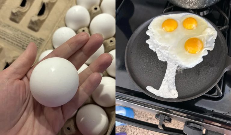 20 fotiek "obyčajných" vajíčok, ktoré sú zaujímavejšie, ako by si čakal