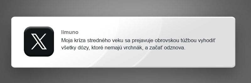 20 najvtipnejších vecí, ktoré v roku 2024 ženy napísali na internete