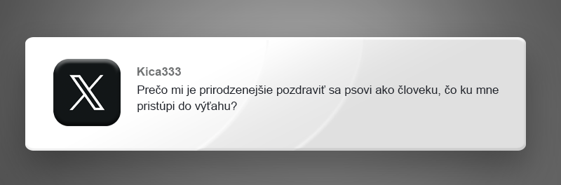 10 vtipných príspevkov o psoch a mačkách, ktoré ti spríjemnia nedeľu