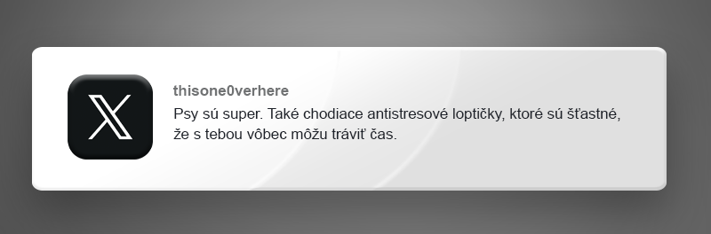 10 vtipných príspevkov o psoch a mačkách, ktoré ti spríjemnia nedeľu