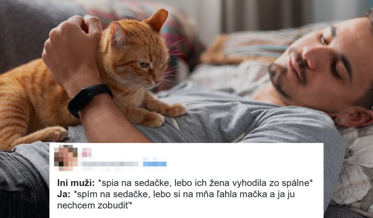 10 vtipných príspevkov o psoch a mačkách, ktoré ti spríjemnia nedeľu