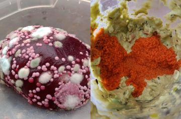 Z týchto sa ti žalúdok neotočí. Zaujímavé plesne, aké si ešte asi nevidel