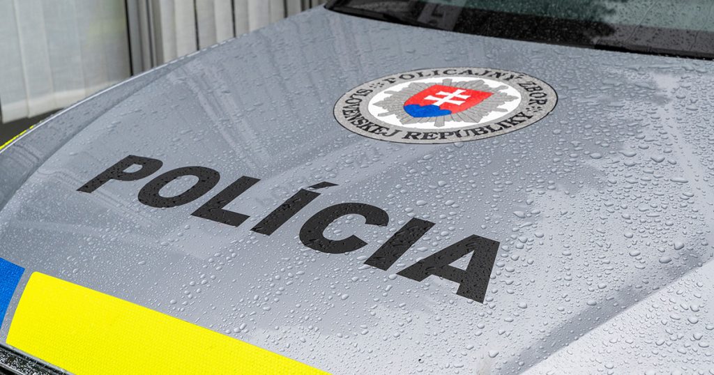 Opozičná strana Sloboda a solidarita predstavila dva návrhy, ktoré majú zastaviť rozmáhajúce sa krádeže na Slovensku.