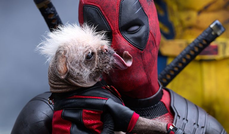 Fanúšikovia by radi videli Deadpoola v nových Avengers. K tejto možnosti sa vyjadril aj Ryan Reynolds