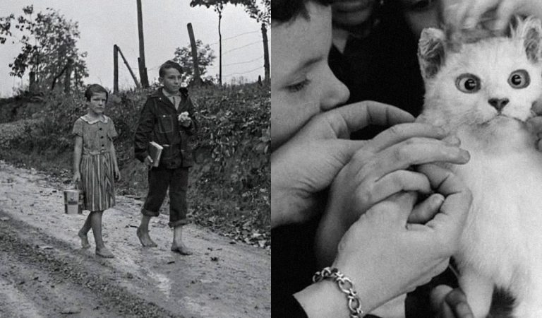 Deti v minulosti: 20 historických záberov, z ktorých mrazí