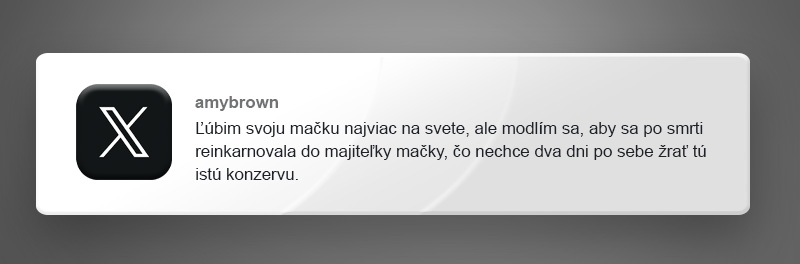 10 vtipných príspevkov, ktoré dokazujú, že s domácimi miláčikmi nikdy nie je nuda