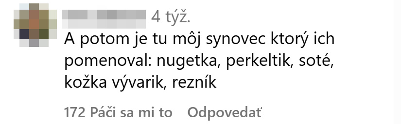 TOP KOMENTY: Najlepšie komentáre Slovákov za minulý mesiac