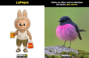 TOP 10 memes, ktoré vás bavili minulý týždeň najviac #183