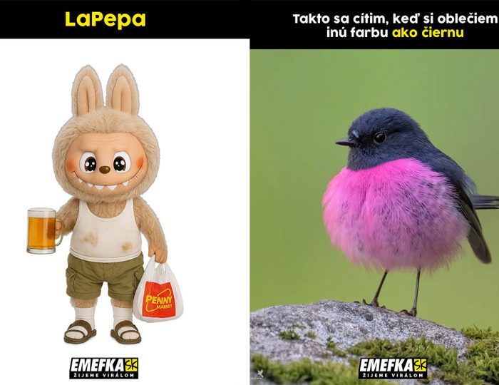 TOP 10 memes, ktoré vás bavili minulý týždeň najviac #183