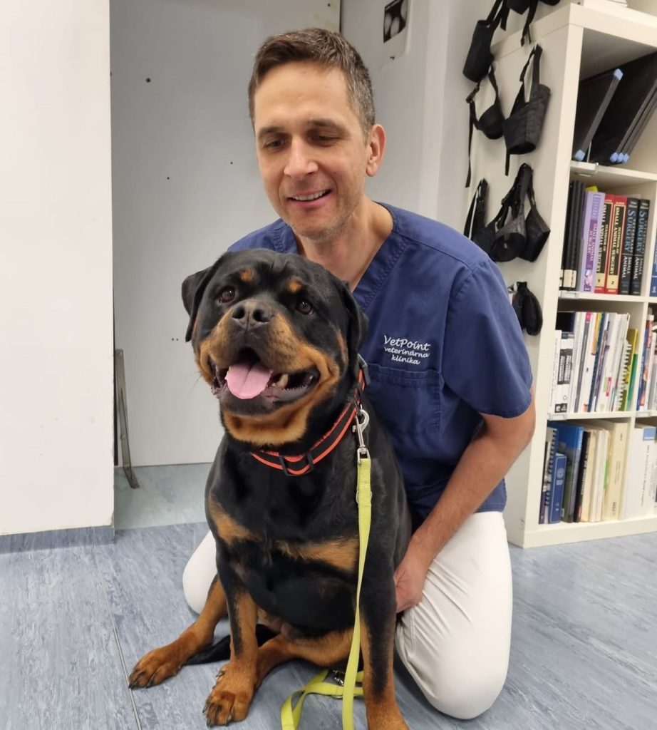 Slovenský veterinár radí, ako počas leta správne ochladiť zvieratká