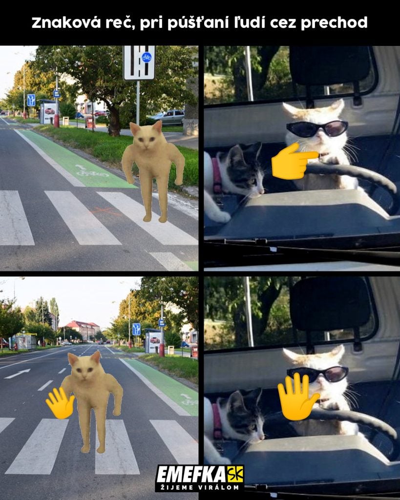 TOP 10 memes, ktoré vás bavili minulý týždeň najviac #187