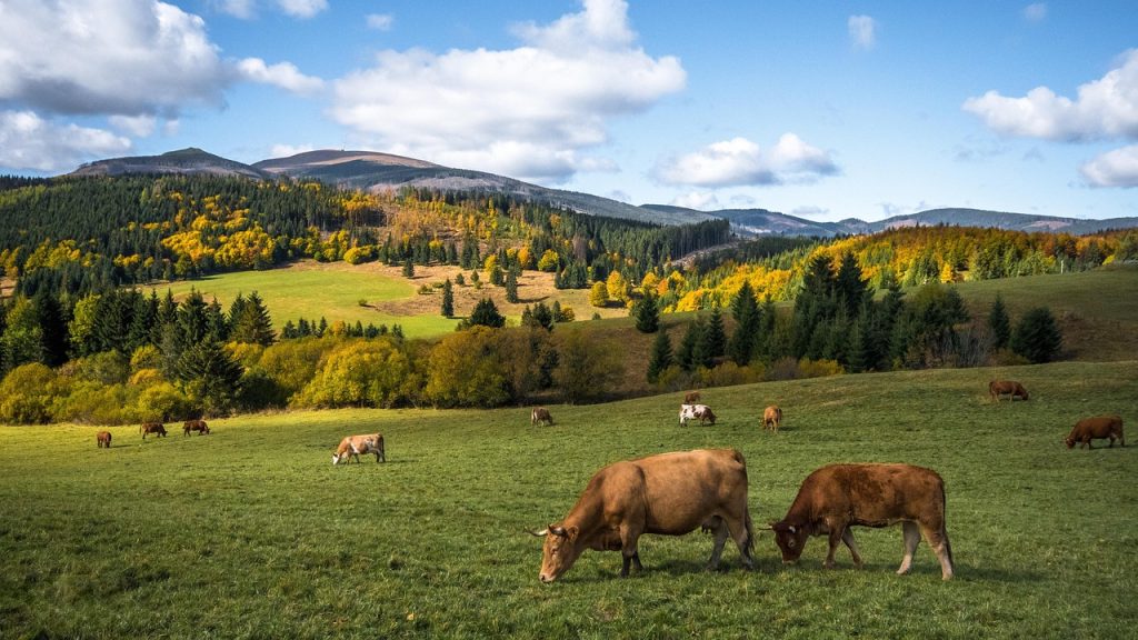 cyklotrasy Slovensko