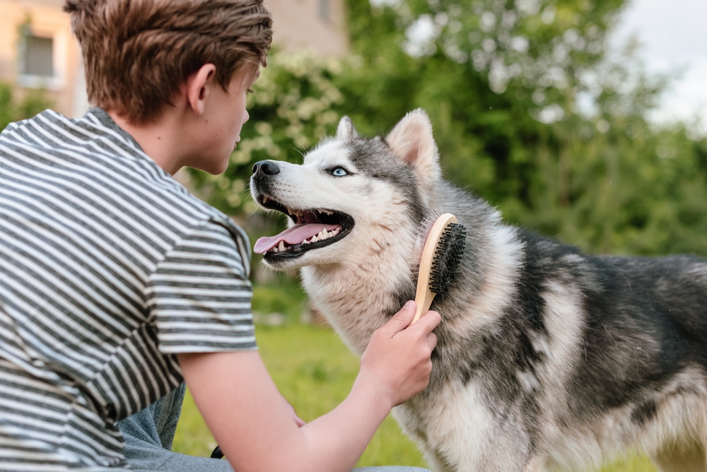 Slovenský veterinár radí, ako počas leta správne ochladiť zvieratká