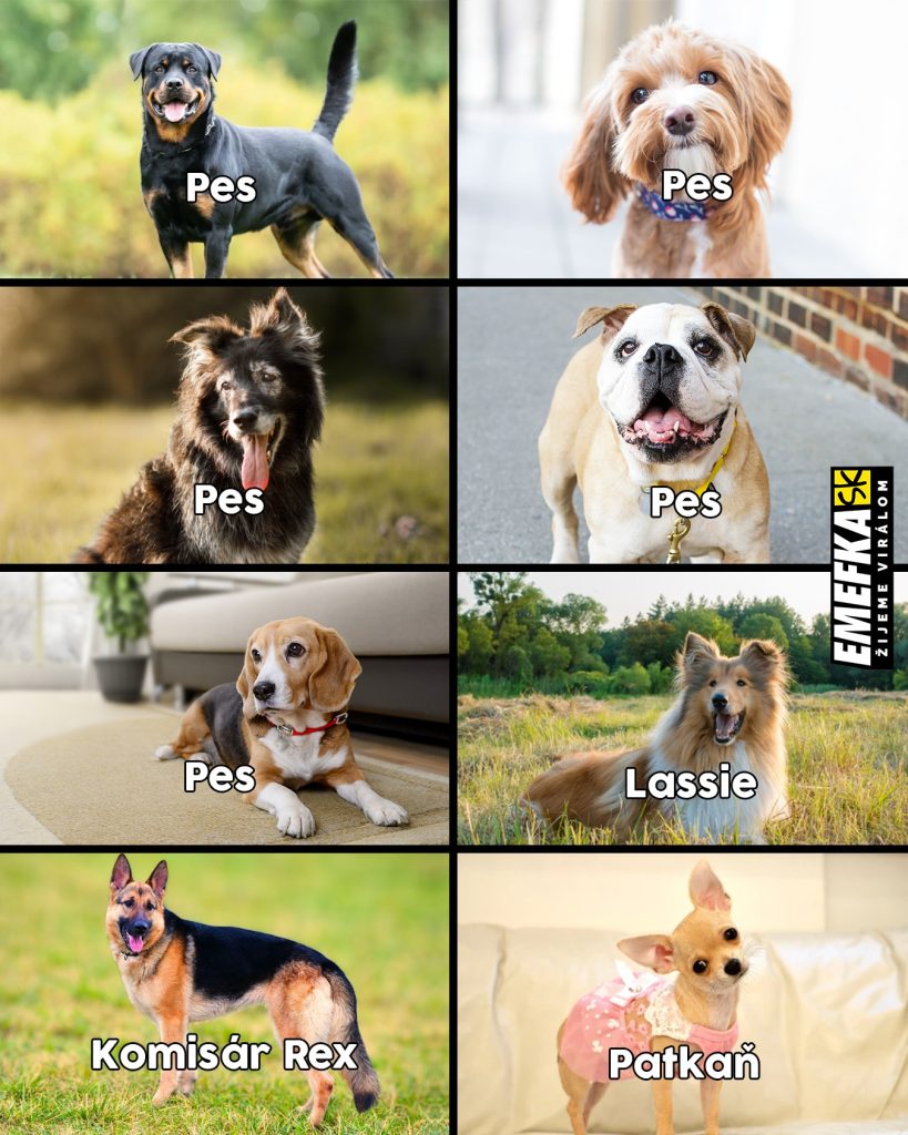 Prinášame ti ďalšiu epizódu seriálu 10 najlepších memes uplynulého týždňa. Minulotýždňové zhrnutie memes z produkcie EMEFKA je tu.