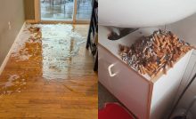 Nikto na ne nebrnká lepšie. 20 dôkazov, že život s rodinnými príslušníkmi si vyžaduje nervy z ocele