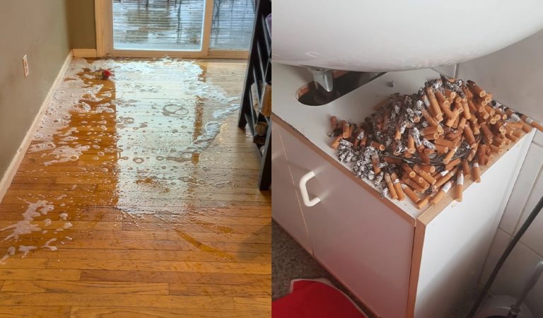 Nikto na ne nebrnká lepšie. 20 dôkazov, že život s rodinnými príslušníkmi si vyžaduje nervy z ocele