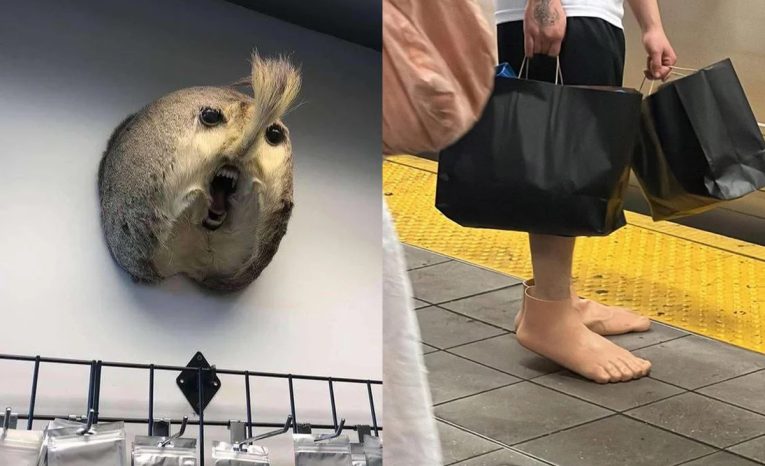 20 kreácií, ktoré ohúria len ľudí s veľmi špecifickým nevkusom