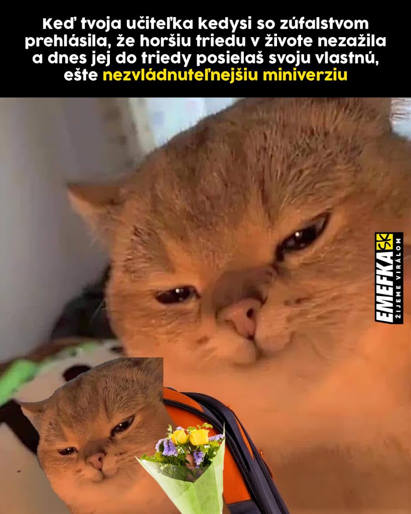 Prinášame ti ďalšiu epizódu seriálu 10 najlepších memes uplynulého týždňa. Minulotýždňové zhrnutie memes z produkcie EMEFKA je tu.
