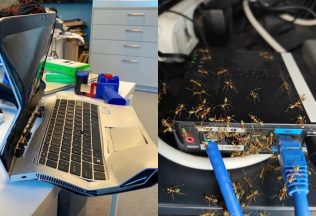 20 technických pohrôm pri ktorých ti až slza vybehne