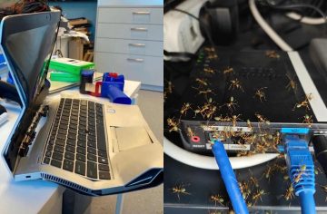 Byť IT-čkárom nie je sranda. 20 technických pohrôm, pri ktorých ti až slza vybehne