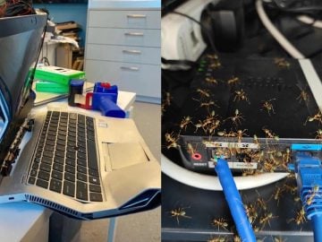 20 technických pohrôm pri ktorých ti až slza vybehne