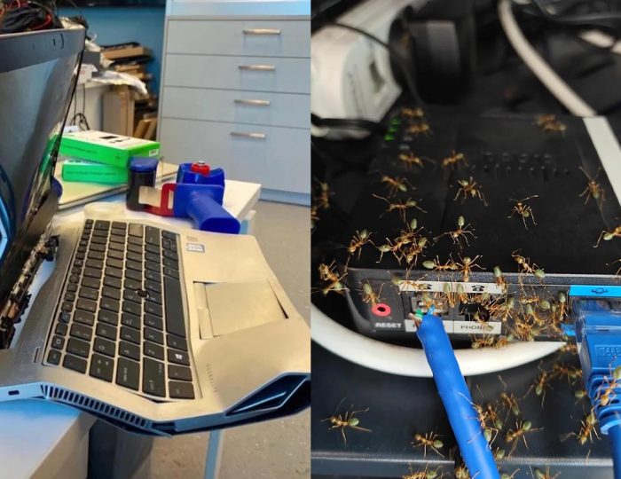 Byť IT-čkárom nie je sranda. 20 technických pohrôm, pri ktorých ti až slza vybehne