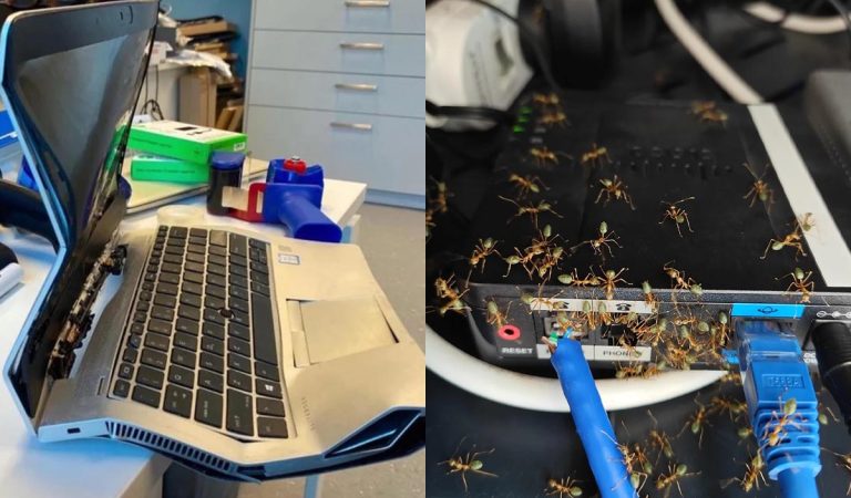 20 technických pohrôm pri ktorých ti až slza vybehne