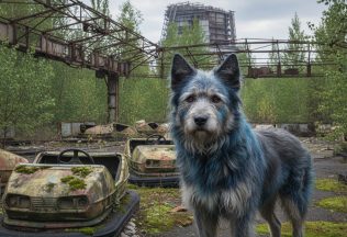 modré psy černobyľ