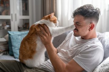 Stačí jedna chyba a tvoja mačka ťa začne nenávidieť. Ak ju robíš aj ty, priprav sa na studenú vojnu