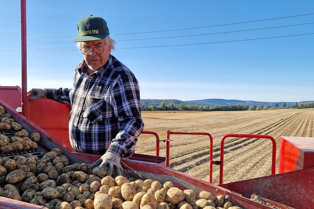 norsko arpad mäsiar