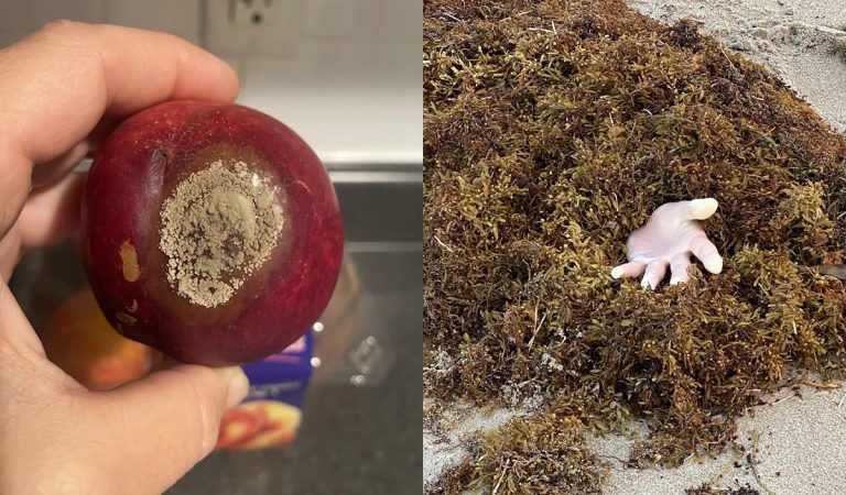 20 optických klamov