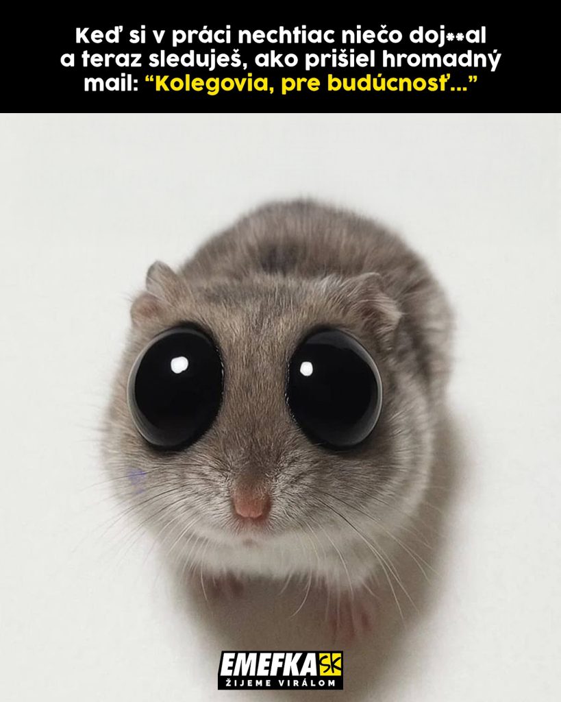 vtipné memes emefka