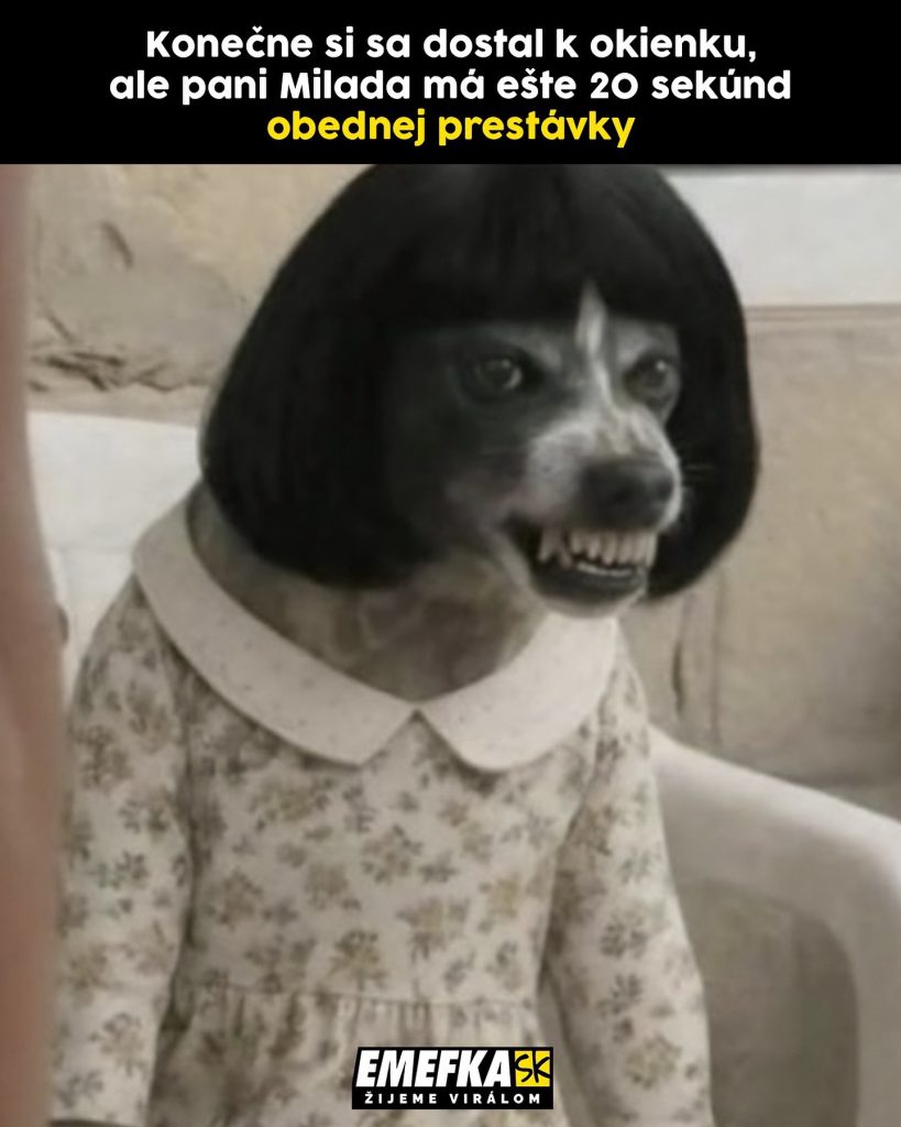 vtipné memes emefka
