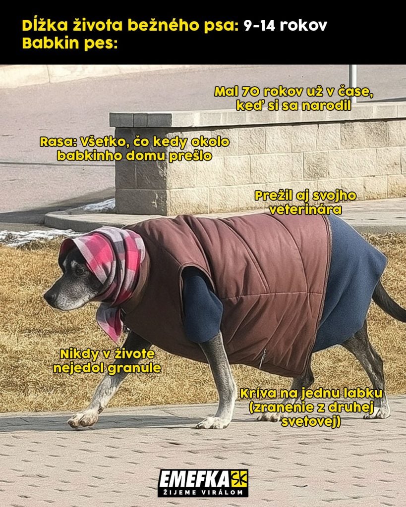 Prinášame ti ďalšiu epizódu seriálu 10 najlepších memes uplynulého týždňa. Minulotýždňové zhrnutie memes z produkcie EMEFKA je tu.