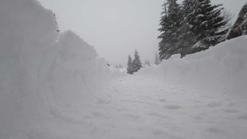 Očakáva sa, že príchod tohtoročnej zimy bude poriadne dramatický. Prvý sneh môže na mnohých miestach sprevádzať snehová kalamita. 