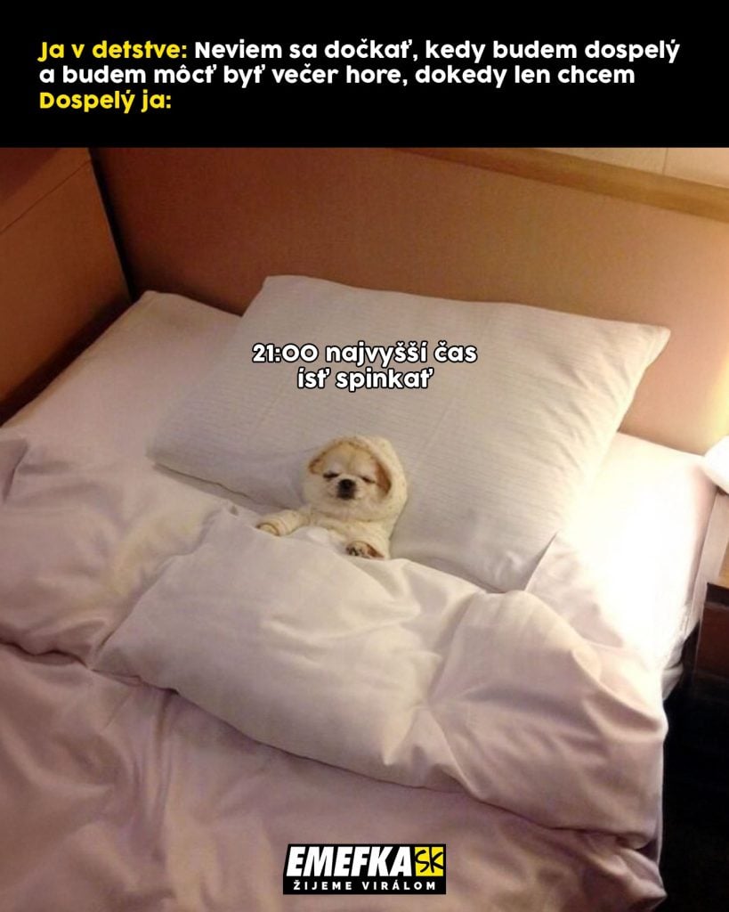 Prinášame ti ďalšiu epizódu seriálu 10 najlepších memes uplynulého týždňa. Minulotýždňové zhrnutie memes z produkcie EMEFKA je tu.